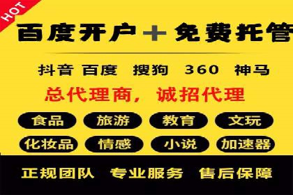 短视频信息流营销实战：小红书的成长之路
